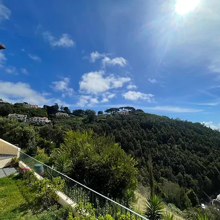 Vila Palmeira's Village